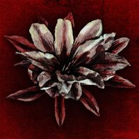 Crazy Alien - LOTUS