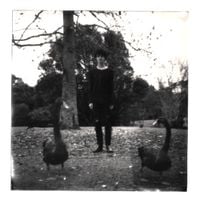Maxwell Young - Daydreamer