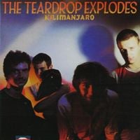 The Teardrop Explodes - Kilimanjaro