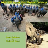 Thai Elephant Orchestra - Smash Hits by the Thai Elephant Orchestra