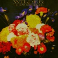 The Teardrop Explodes - Wilder