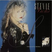 Stevie Nicks - Whole Lotta Trouble