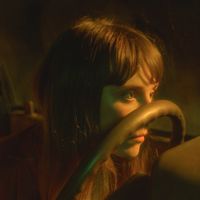 Linn Koch-Emmery - Borderline Iconic