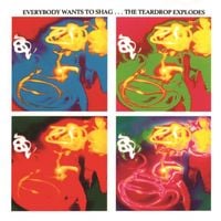 The Teardrop Explodes - Everybody Wants to Shag...