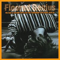 The Teardrop Explodes - Floored Genius