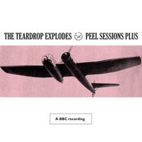 The Teardrop Explodes - Peel Sessions Plus