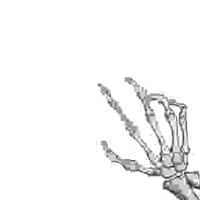 torr - rot