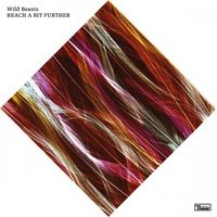 Wild Beasts - Reach a Bit Further