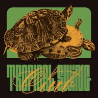 Dull Boy Johnny - Tropical Swing Club