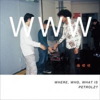 Various Artists - WHERE, WHO, WHAT IS PETROLZ?