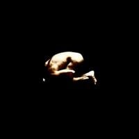 EMMA - IL MONDO DEI BACi