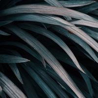 Hotel Pools - Nature
