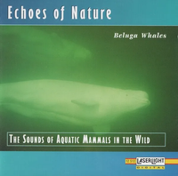 Kim Wilson - Echoes of Nature - Beluga Whales
