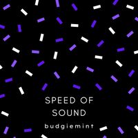 BudgieMint - speed of sound