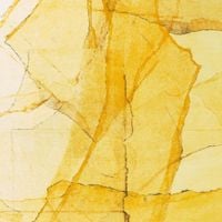 Wadada Leo Smith - Central Park's Mosaics of Reservoir, Lake, Paths and Gardens