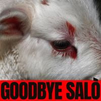 Brutalismus 3000 - GOODBYE SAL&Oacute;