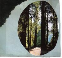 Various Artists - Naturalism