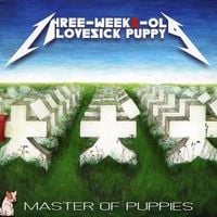 three-weeks-old lovesick puppy - Master of Puppies
