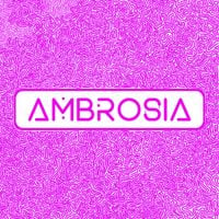 Joe Tindley - Ambrosia
