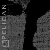 Pelican - Pelican