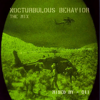 011 - Nocturbulous Behavior - The Mix