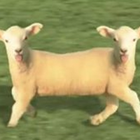 Cyriak Harris - Baaa