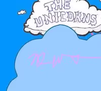 The Unicorns - Jellybones