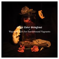 Magic Tuber Stringband - Wayward Airs for Earthbound Vagrants