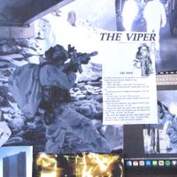 Dunes Day - The Viper