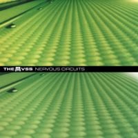 The VSS - Nervous Circuits