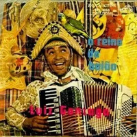 Luiz Gonzaga - O reino do bai&atilde;o