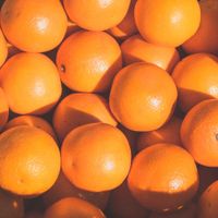 Surfboard C - Oranges