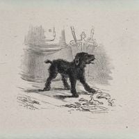 Billy Cobb - Black Hound