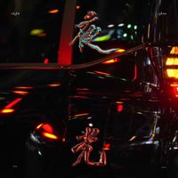Duck Fight Goose - 夜光 (Night Gloss)