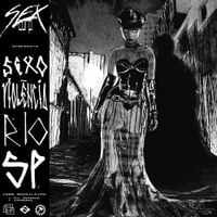 SEXCORP. - SEXO, VIOL&Ecirc;NCIA, RIO & S&Atilde;O PAULO