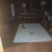 Midrift - leaving tonight