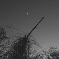 Cemeteries - Hollow Beings (2012​-​2014)