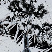 Plastic Tree - Plastic Tree