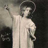 Annie-Dog - Annie-Dog