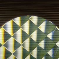 Samara Lubelski & Marcia Bassett - Indexical/Rhizome