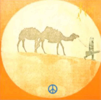 Alleen Plains - Live Small Party Huge