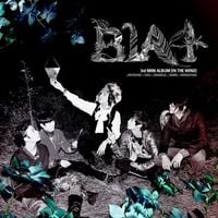 B1A4 - In the Wind