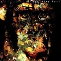 Wolfsheim - Dreamng Apes