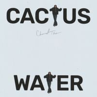 Channel Tres - Cactus Water