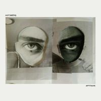 Нотэбёрд [Notabird] - Артпанк