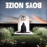 Boys Noize - LVLY
