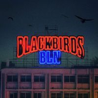 Peter Fox - Blackbirds BLN