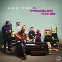 The Spitfires - A Thousand Times