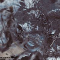 The Pseudonym Experiment - Handicap