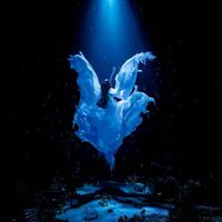 Aimer - 誰か、海を。